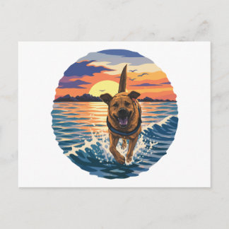 Cartão Postal Labrador Feliz Correndo Através do Oceano Ensolara