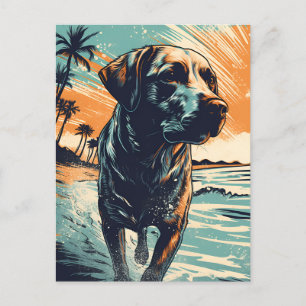Cartão Postal Labrador na praia