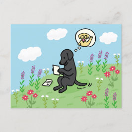 Cartão Postal Labrador Negro e Carta de um Amigo