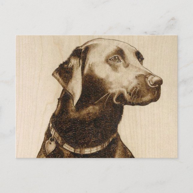 Cartão Postal Labrador preto (Frente)