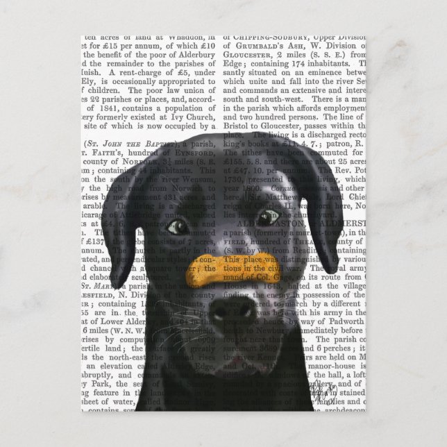 Cartão Postal Labrador Preto com Osso no Nariz (Frente)