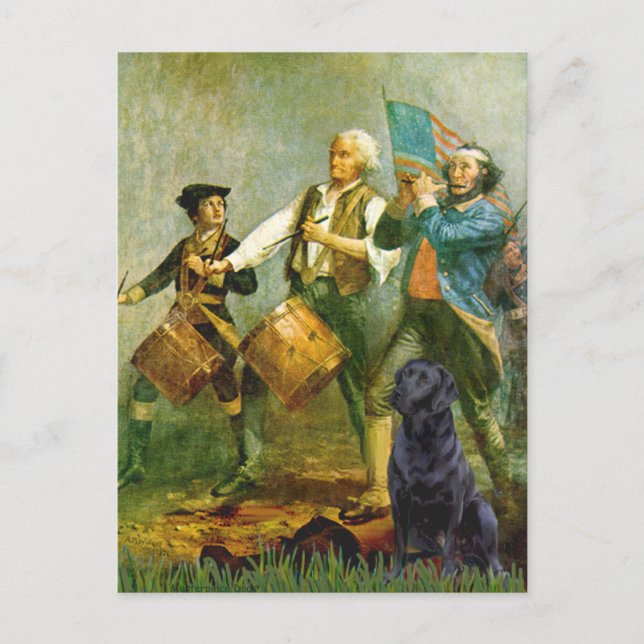 Cartão Postal Labrador (preto) - Espírito de &apos;76 (Frente)