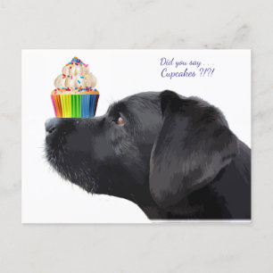 Cartão Postal Labrador Preto - Você disse Cupcakes - Amante de C