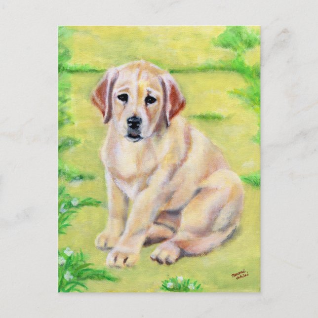 Cartão Postal Labrador Puppy Amarelo (Frente)