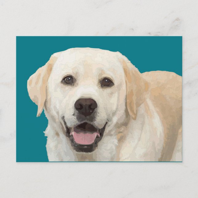 Cartão Postal Labrador recuperador 1 (Frente)
