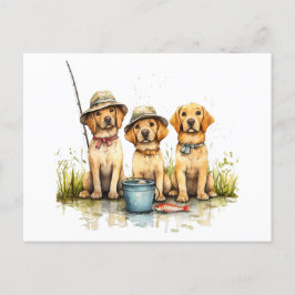 Cartão Postal Labrador Retriever Cães Pesca