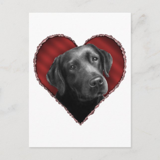 Cartão Postal Labrador Retriever com Heart (Frente)