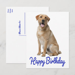 Cartão Postal Labrador Retriever Lab Puppy Cachorro Aniversário