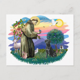 Cartão Postal Labrador Retriever (preto)