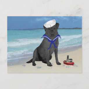 Cartão Postal Labrador Retriever Preto Marinheiro