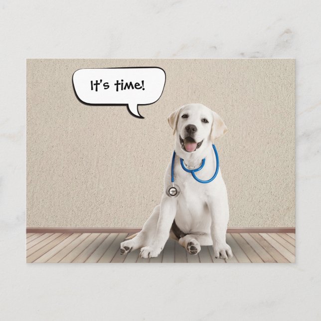 Cartão Postal Labrador Retriever Withe Stethoscope (Frente)