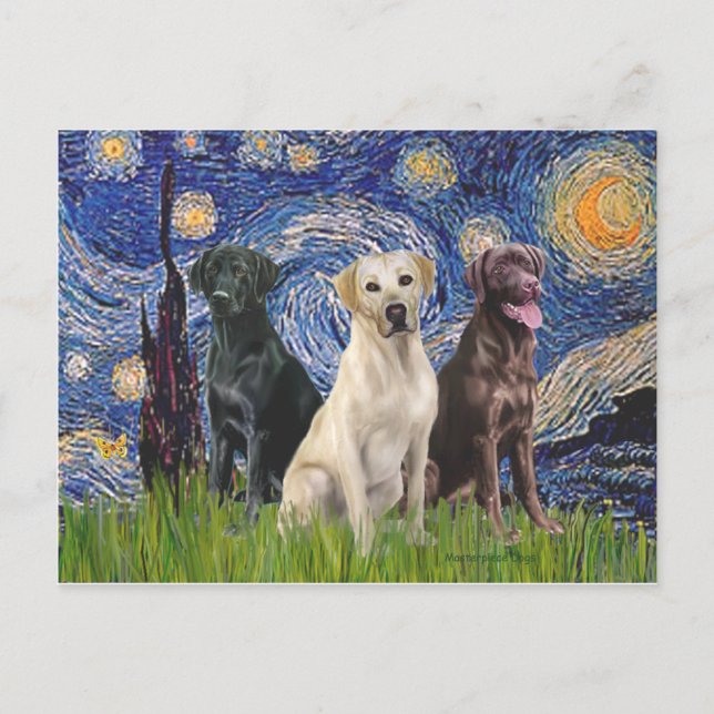 Cartão Postal Labradores (3) - Noite Estrelada (Frente)