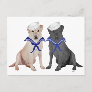 Cartão Postal Labradores Retriever Amarelos e Pretos