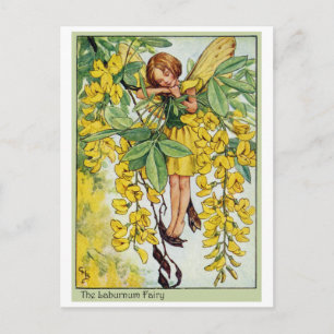 Cartão Postal Laburnum Fairy