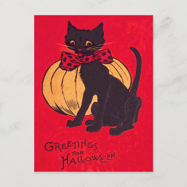 Cartão Postal Laço de Gato Preto Abóbora Vintage (Frente)