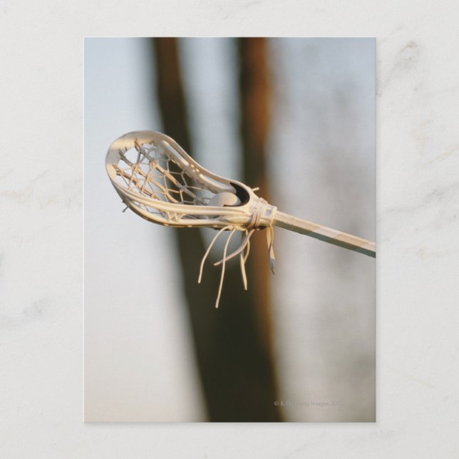 Cartão Postal Lacrosse Stick (Frente)