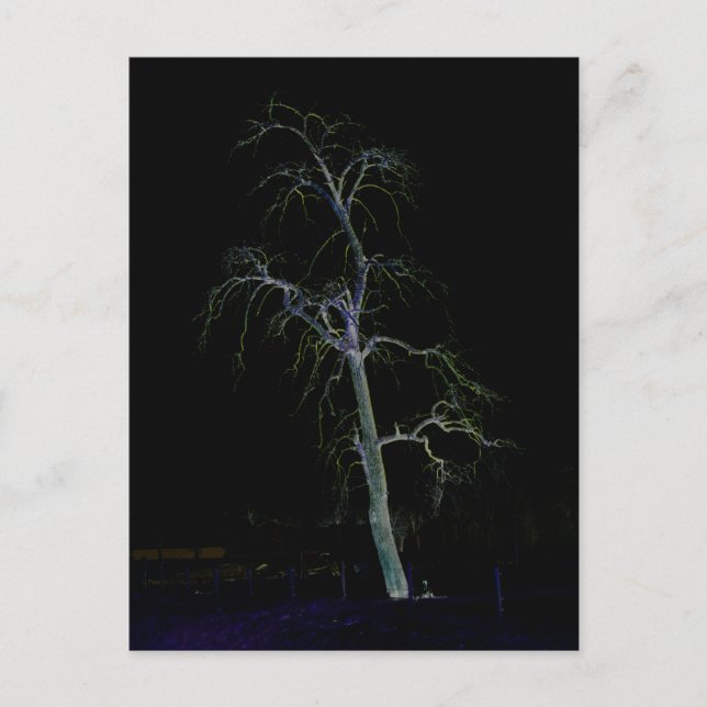 Cartão Postal Lado Escuro 8 pcna (Frente)