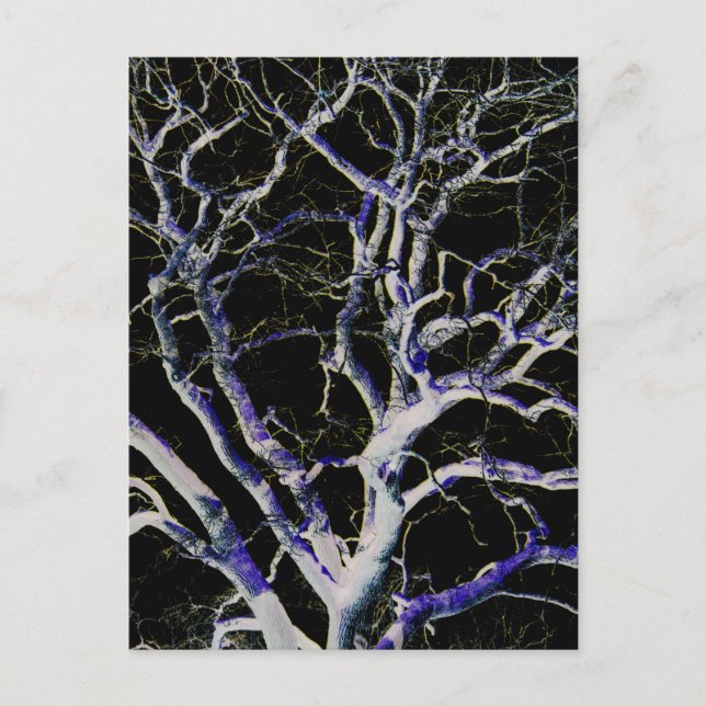 Cartão Postal Lado Negro 5 pccnm (Frente)