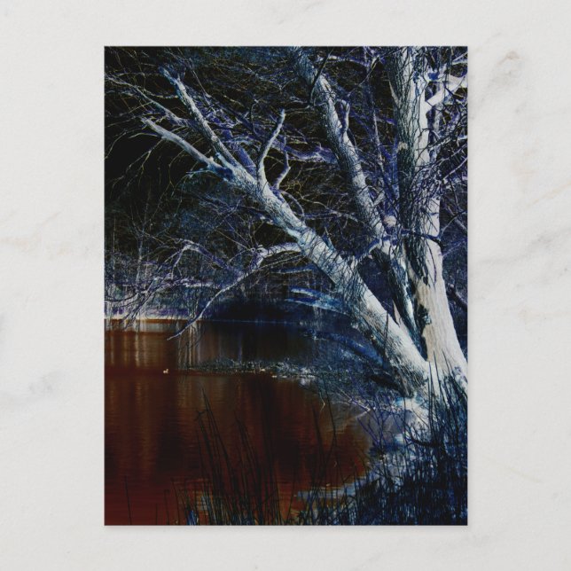 Cartão Postal Lado Negro 7 pccna (Frente)