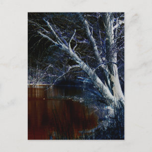 Cartão Postal Lado Negro 7 pccnm