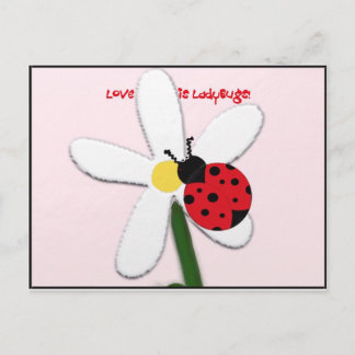Cartão Postal Lady Bug Lovin