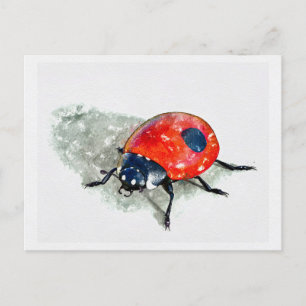 Cartão Postal Lady Bug Watercolor