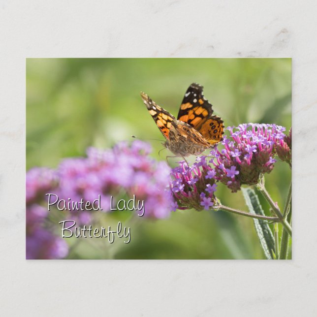 Cartão Postal Lady Butterfly Pintada (Frente)
