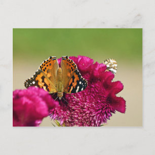 Cartão Postal Lady Butterfly Pintada