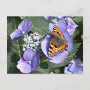 Cartão Postal Lady Butterfly Pintada 1
