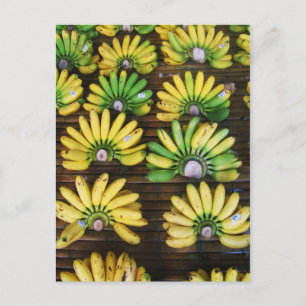 Cartão Postal Lady Finger Bananas ~ Ovo Banana (ก ล้ ว