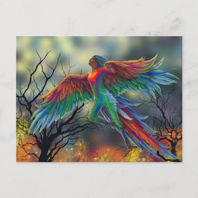 Cartão Postal Ladybird (Frente)