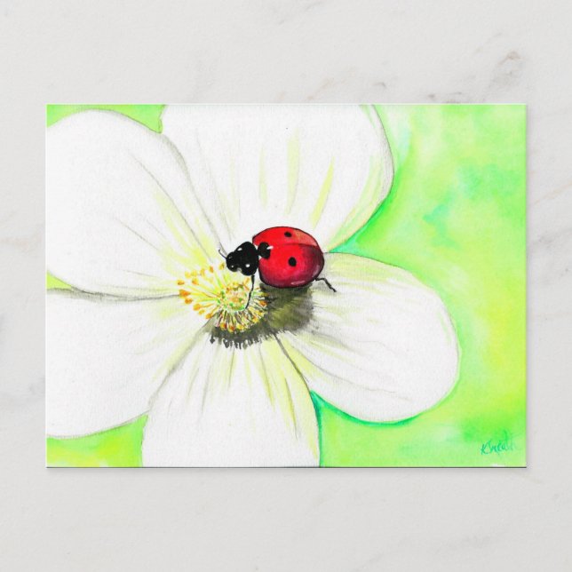 Cartão Postal Ladybird num Cartão-postal de pintura de Flor Bran (Frente)