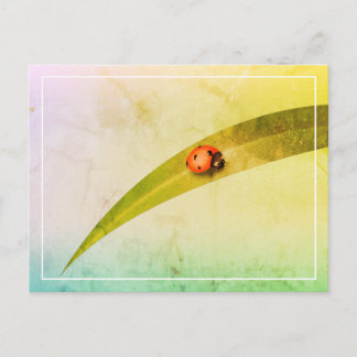 Cartão Postal Ladybug Leaf