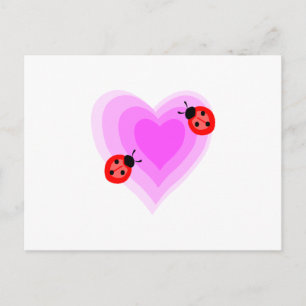 Cartão Postal Ladybug Love