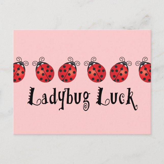 Cartão Postal Ladybug Luck (Frente)