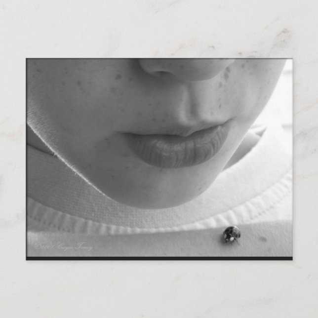 Cartão Postal Ladybug preto-e-branco (Frente)