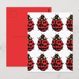 Cartão Postal Ladybug Red Black Insett Ladybug