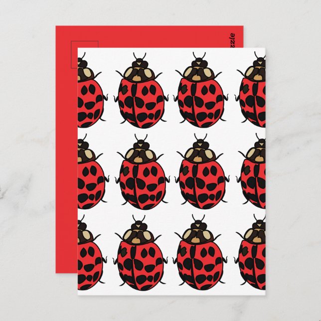 Cartão Postal Ladybug Red Black Insett Ladybug (Frente/Verso)