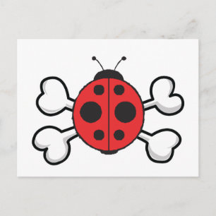 Cartão Postal ladybug Skull e Crossbones