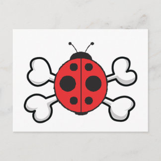 Cartão Postal ladybug Skull e Crossbones
