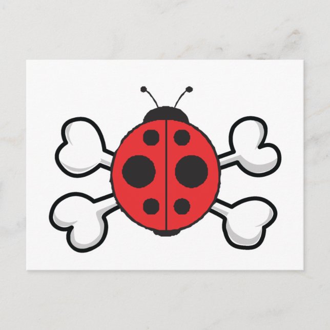 Cartão Postal ladybug Skull e Crossbones (Frente)