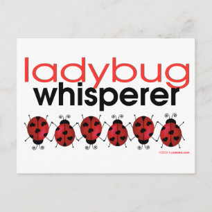 Cartão Postal Ladybug Whisperer