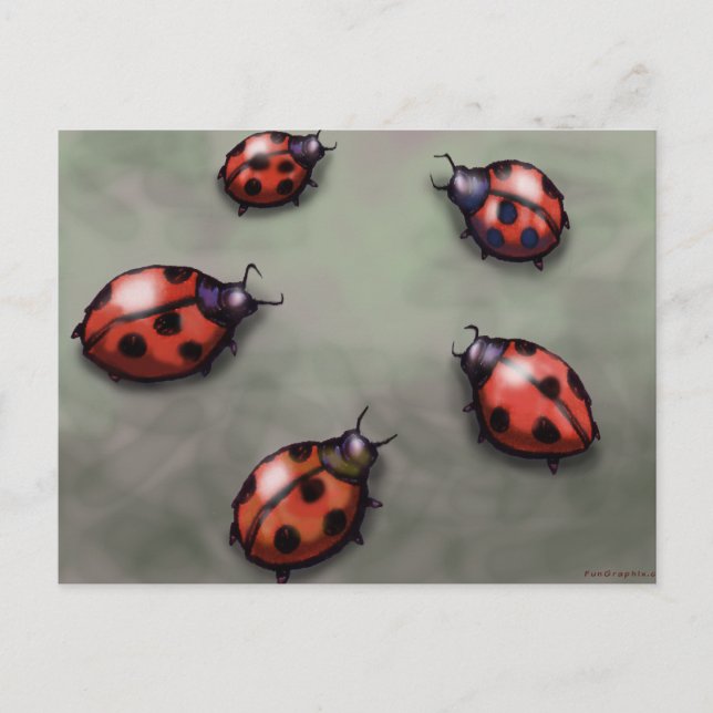 Cartão Postal Ladybugs (Frente)