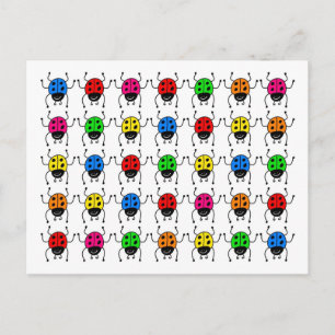 Cartão Postal ladybugs