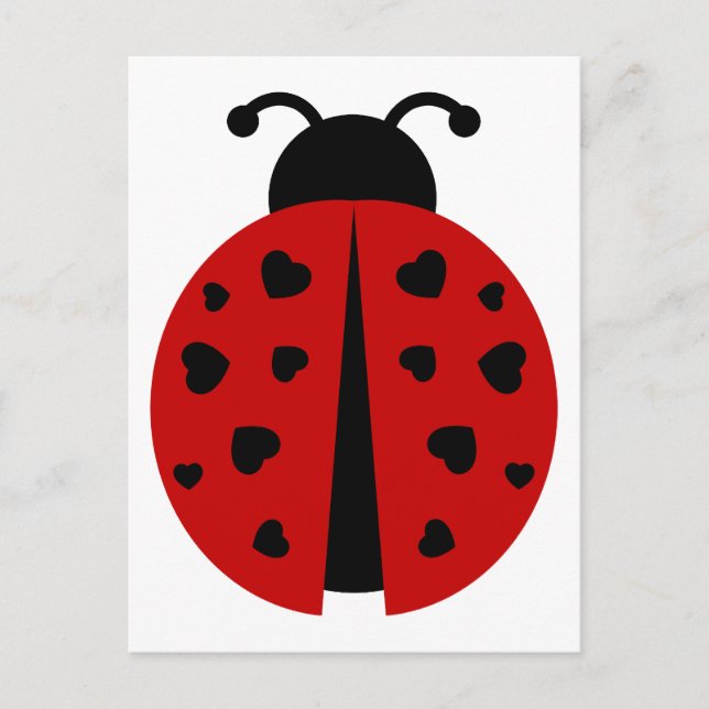 Cartão Postal ladybugz (Frente)