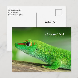 Cartão Postal Lagarto-diurno-verde-gigante