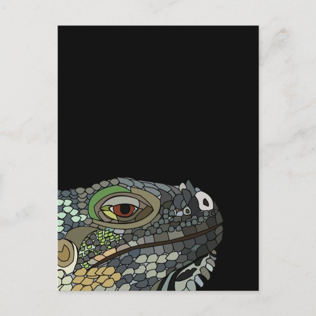 Cartão Postal Lagarto Iguana Animal Iguana (Frente)