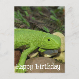 Cartão Postal Lagarto no Jardim Feliz Aniversário