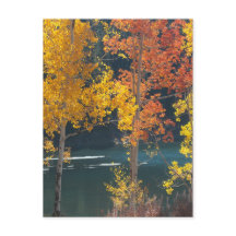 Lago beaver (lagos Mesa) no outono