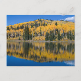 Cartão Postal Lago Beaver no outono